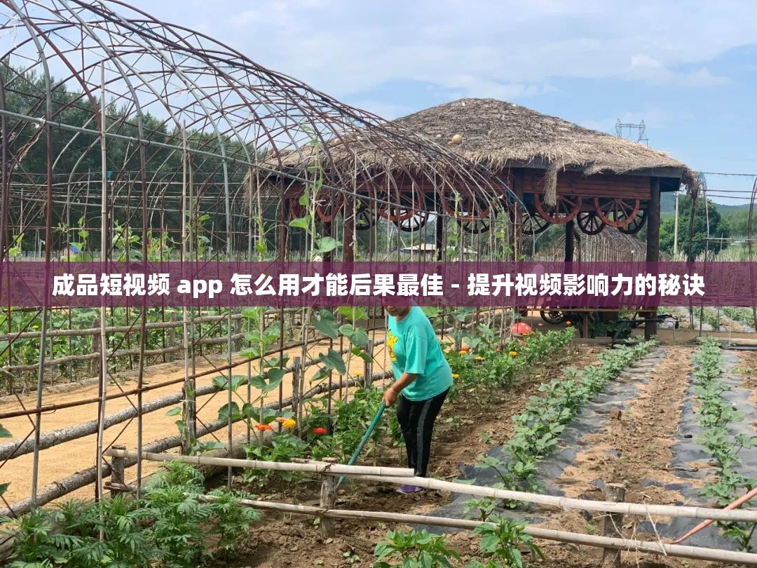 成品短视频 app 怎么用才能后果最佳 - 提升视频影响力的秘诀