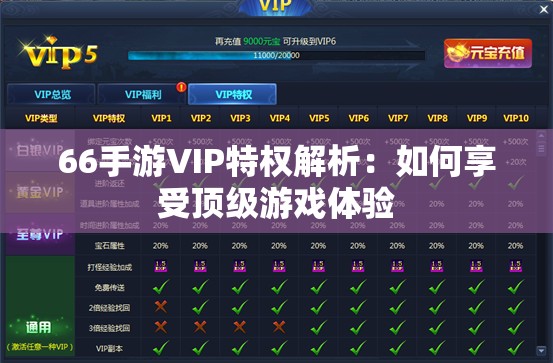 66手游VIP特权解析：如何享受顶级游戏体验