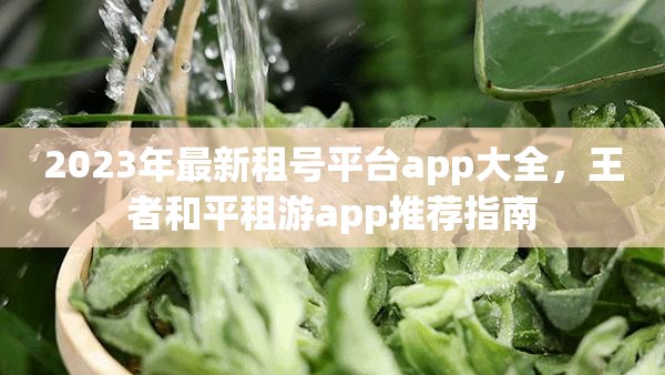 2023年最新租号平台app大全，王者和平租游app推荐指南