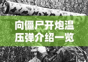 向僵尸开炮温压弹介绍一览：广泛解析这款强力武器