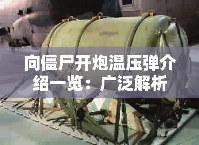 向僵尸开炮温压弹介绍一览：广泛解析这款强力武器