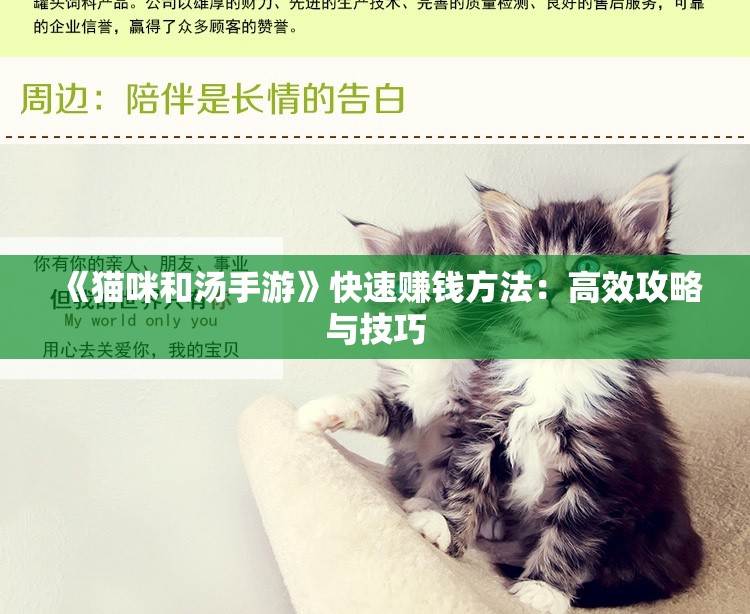 《猫咪和汤手游》快速赚钱方法：高效攻略与技巧