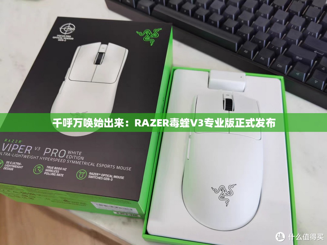 千呼万唤始出来：RAZER毒蝰V3专业版正式发布