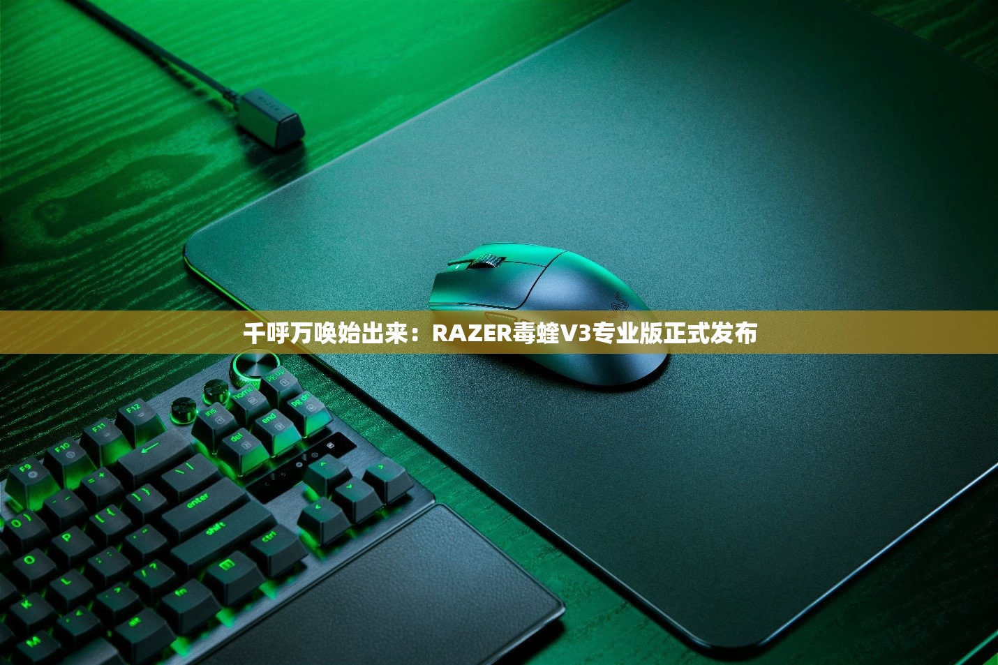 千呼万唤始出来：RAZER毒蝰V3专业版正式发布