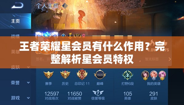 王者荣耀星会员有什么作用？完整解析星会员特权