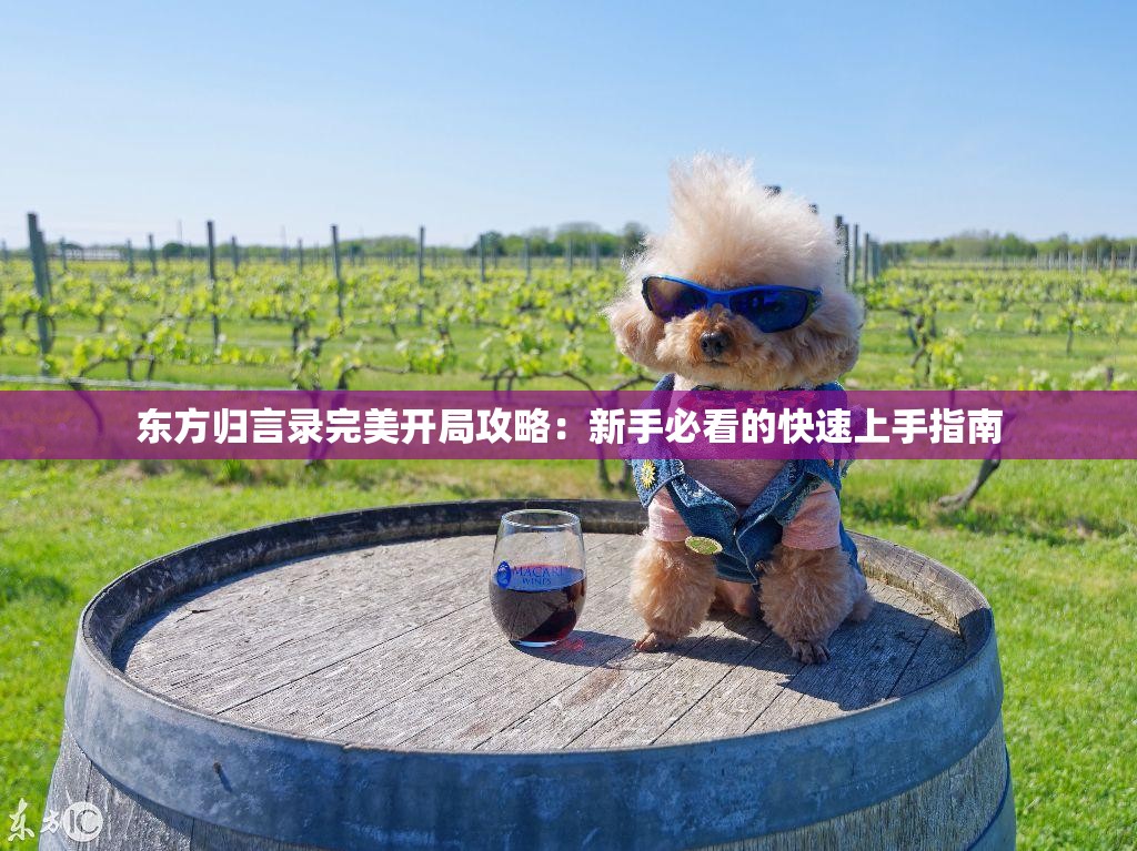 东方归言录完美开局攻略：新手必看的快速上手指南