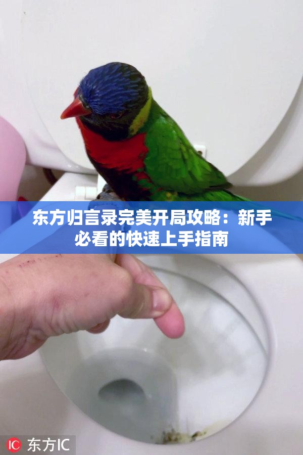 东方归言录完美开局攻略：新手必看的快速上手指南